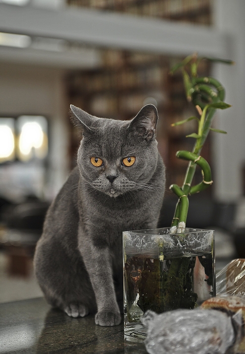 DSC_3857.JPG
